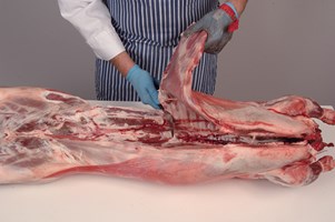 Meat Cut Spec Step 3